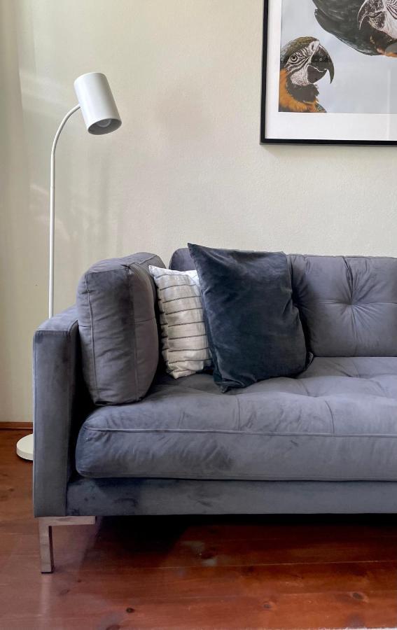 Hip & Minimalist - Stadt Apartments Am Malerweg Pirna Zewnętrze zdjęcie