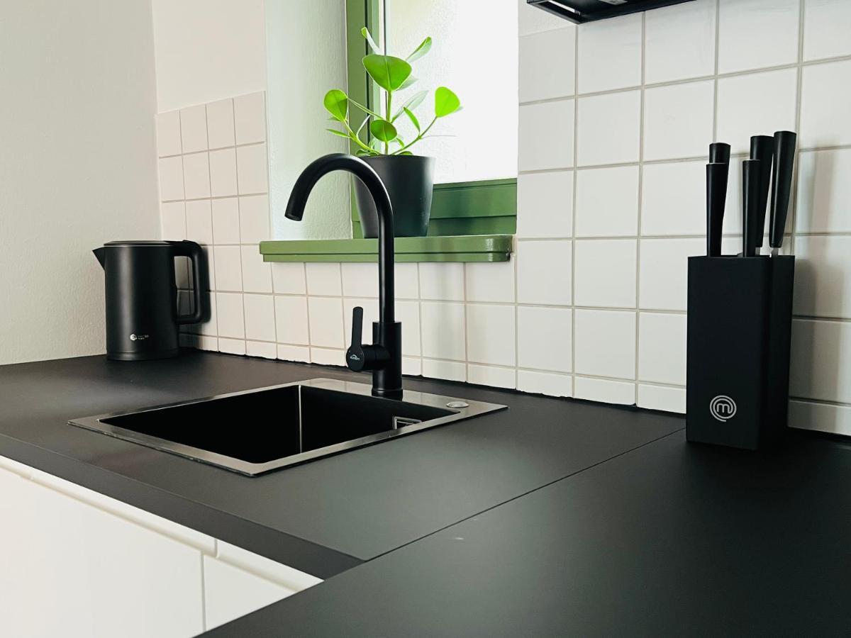 Hip & Minimalist - Stadt Apartments Am Malerweg Pirna Zewnętrze zdjęcie